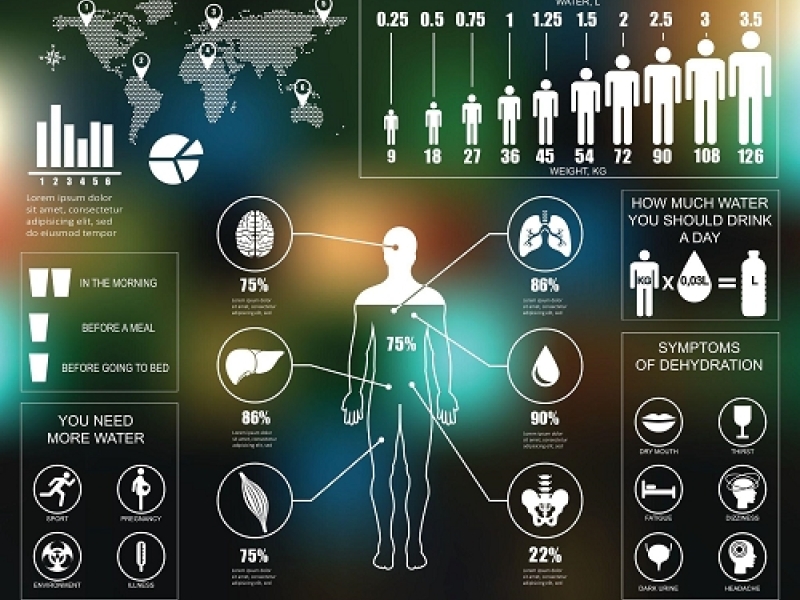 Ásványi anyagok bevitele a szervezetbe