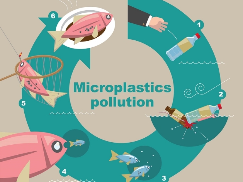 Mikroműanyag a környezetben