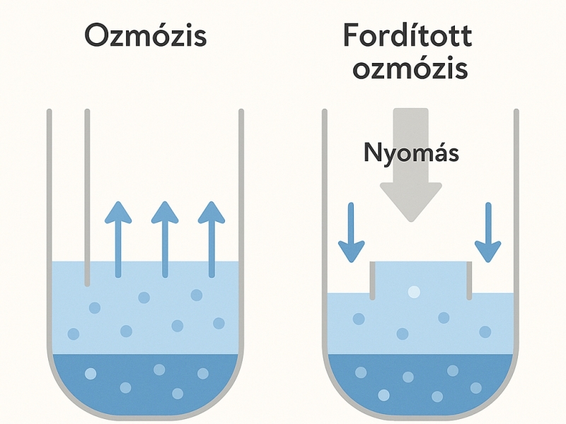 Mi az ozmózis és a fordított ozmózis?